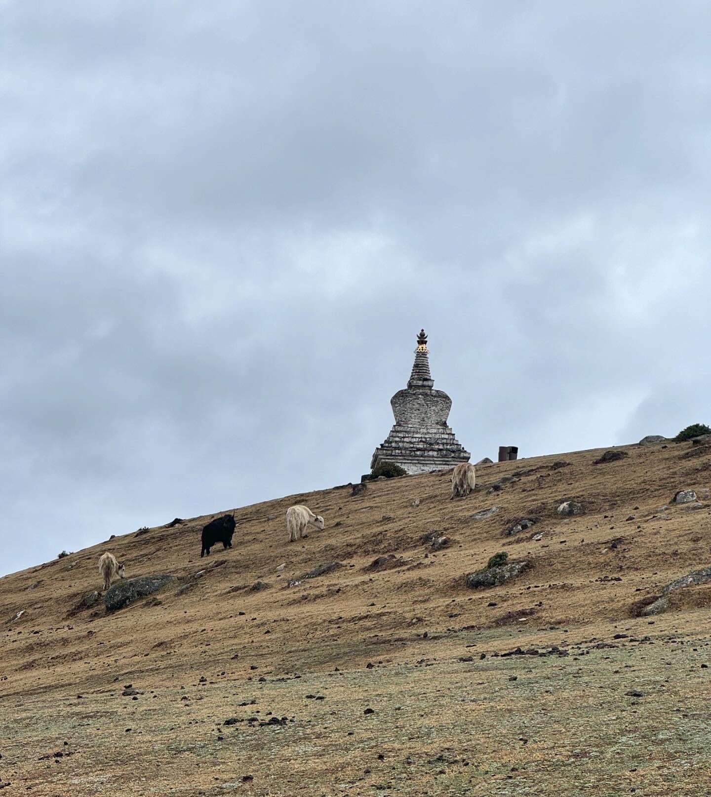 The image featured at the top of the about us page #1