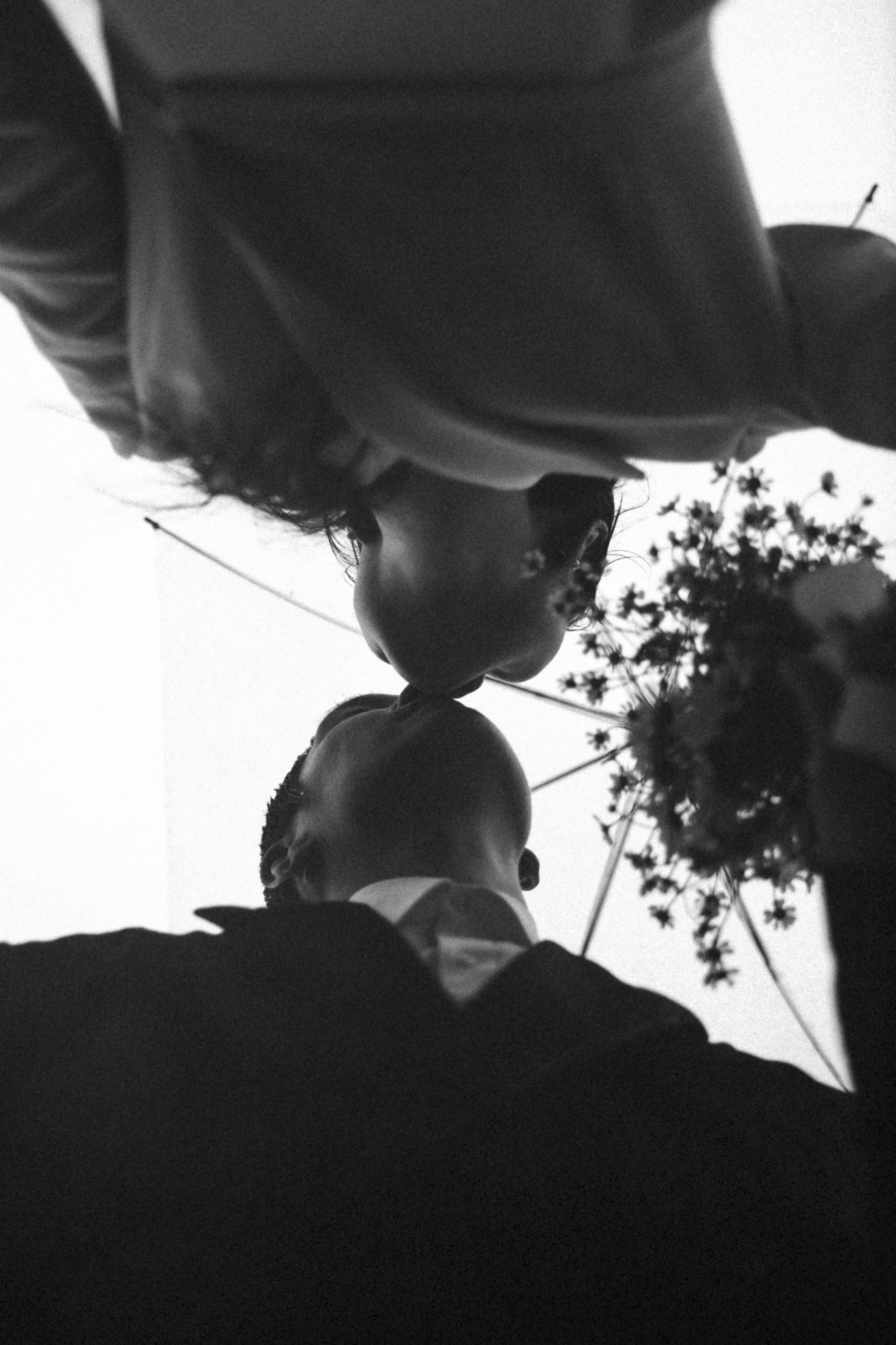 Photograph title Copy Copy Copy Copy Copy Copy Copy Copy Copy Copy