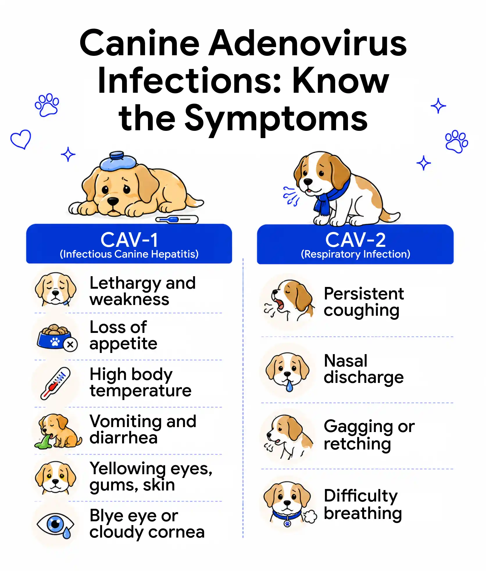 An infographic showing the symptoms of the two types of canine adenovirus, CAV-1 and CAV-2