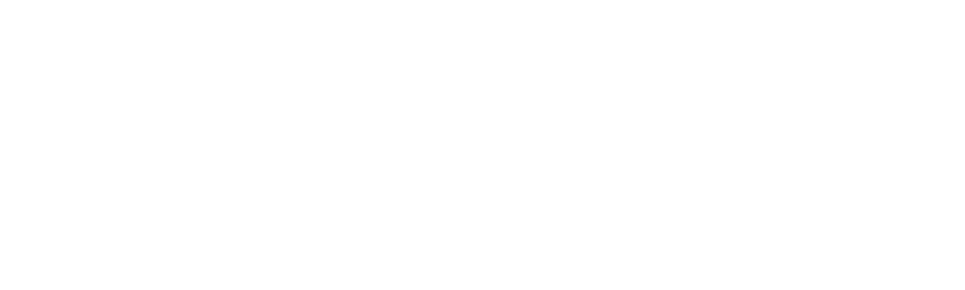 Perform Template Logo