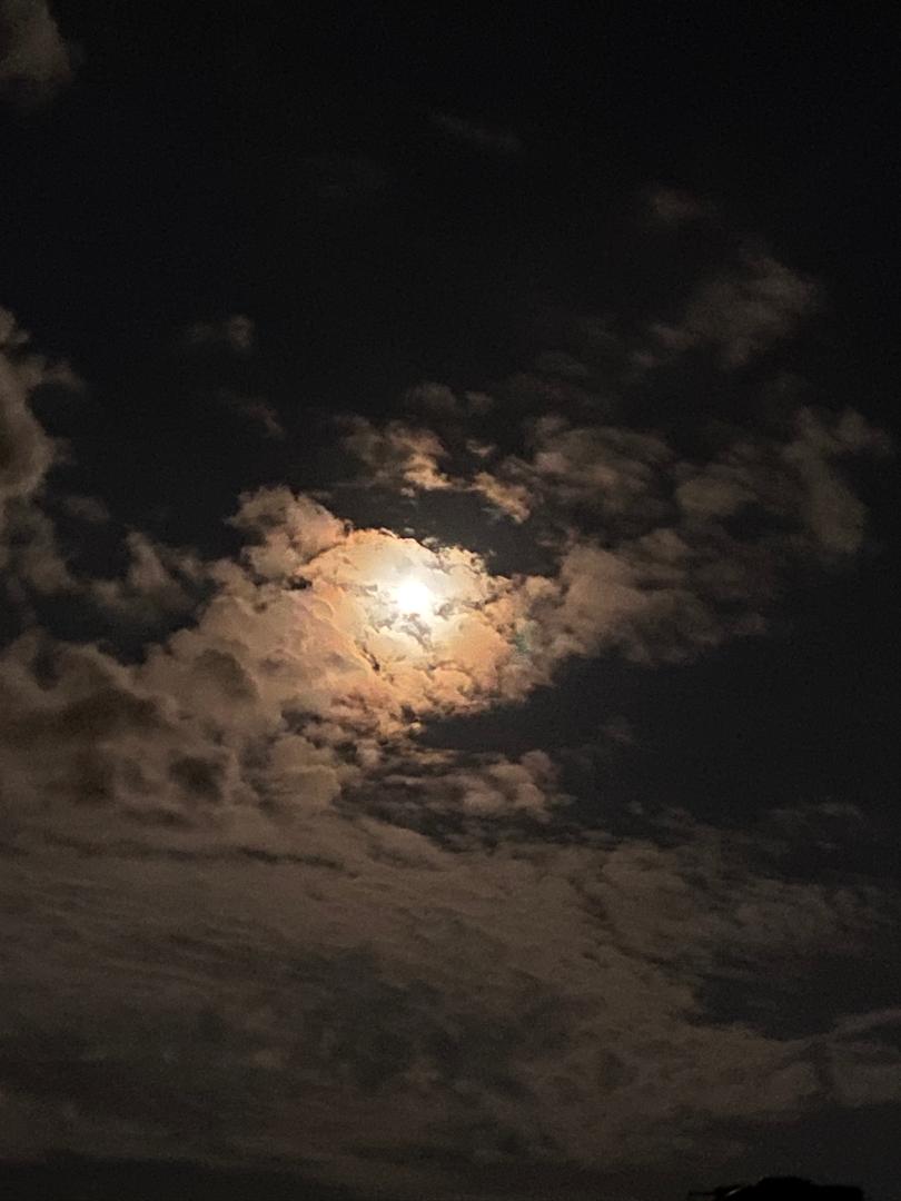 people in a large building with Tate Modern in the background