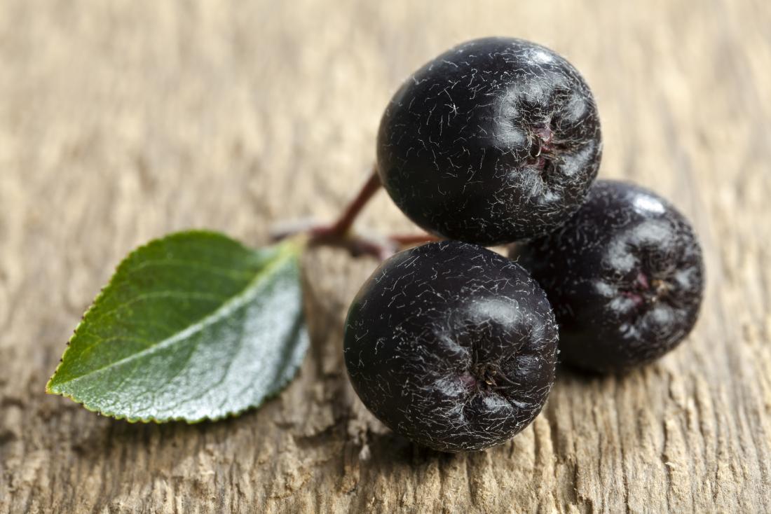 Aronia Berry