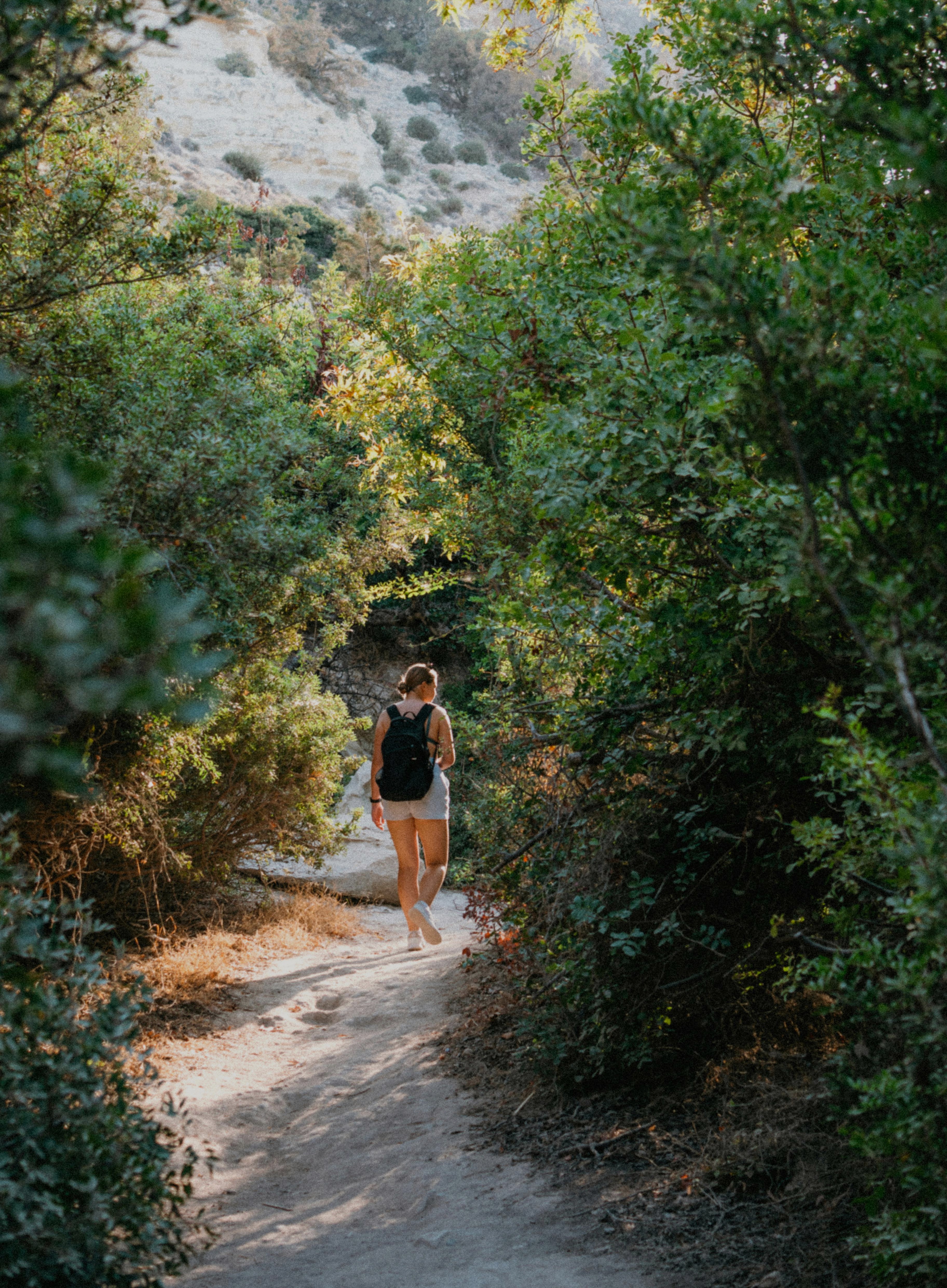 A woman walking alone on a wooded trail, seen from behind, representing the quiet journey of sitting with life's bigger questions and finding your own way forward.