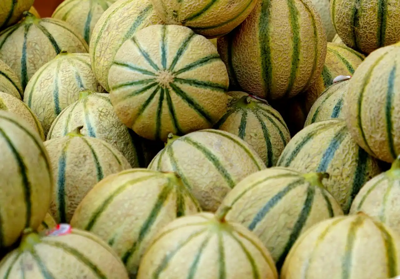 a group of melons with one cut in half