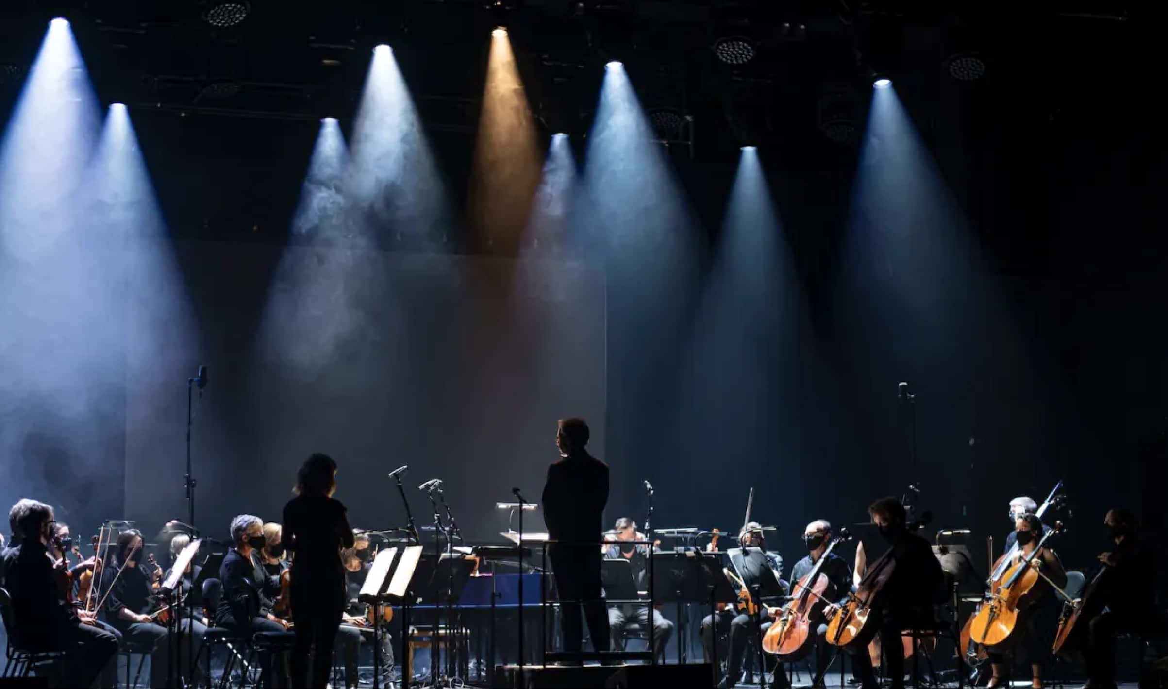 Honest Fox and Tasmanian Symphony Orchestra competitive pitch win