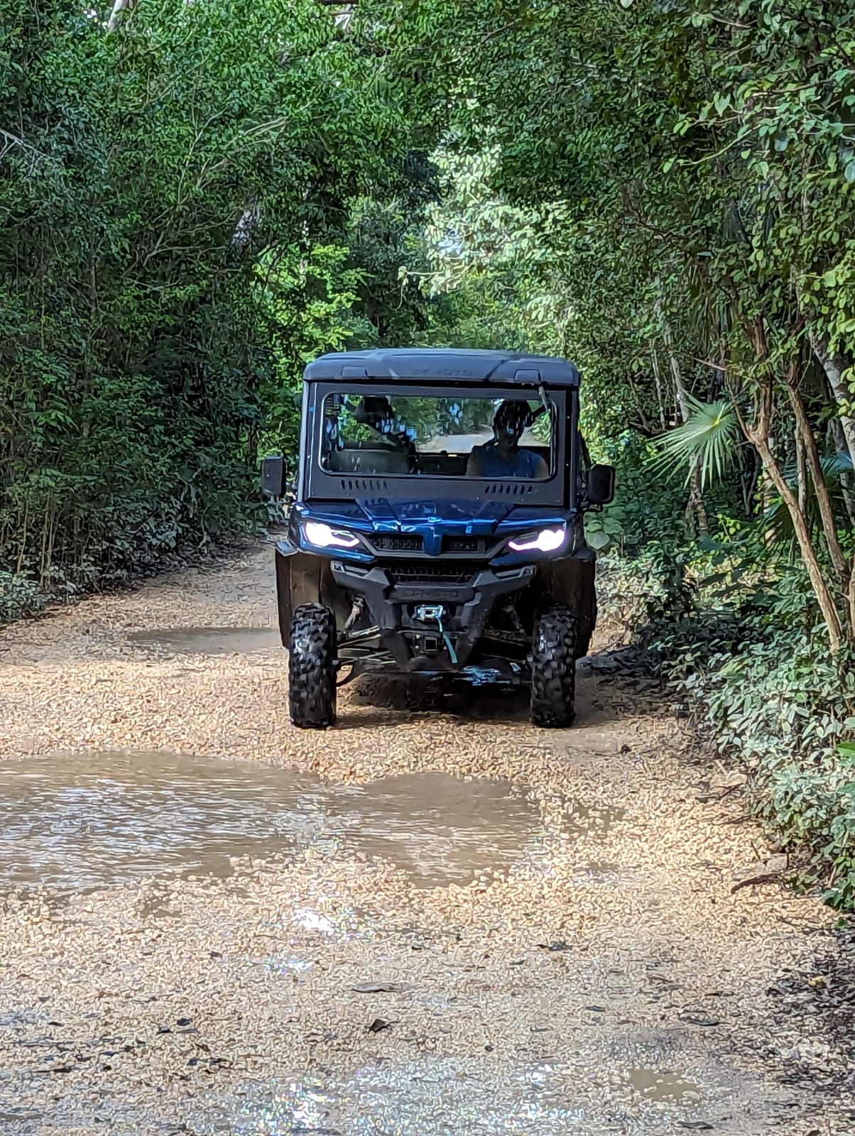 Buggy Rental Tulum CF Moto UForce 1000XL