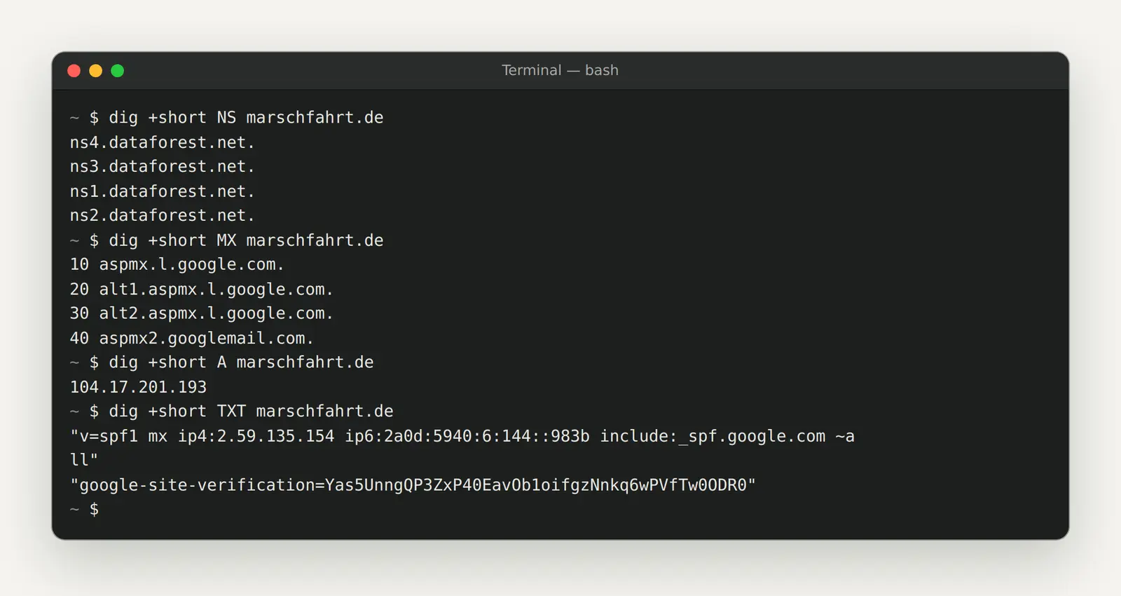 DNS-Einträge einer Domain mit dig abfragen: Nameserver, Mailserver, A- und TXT-Einträge