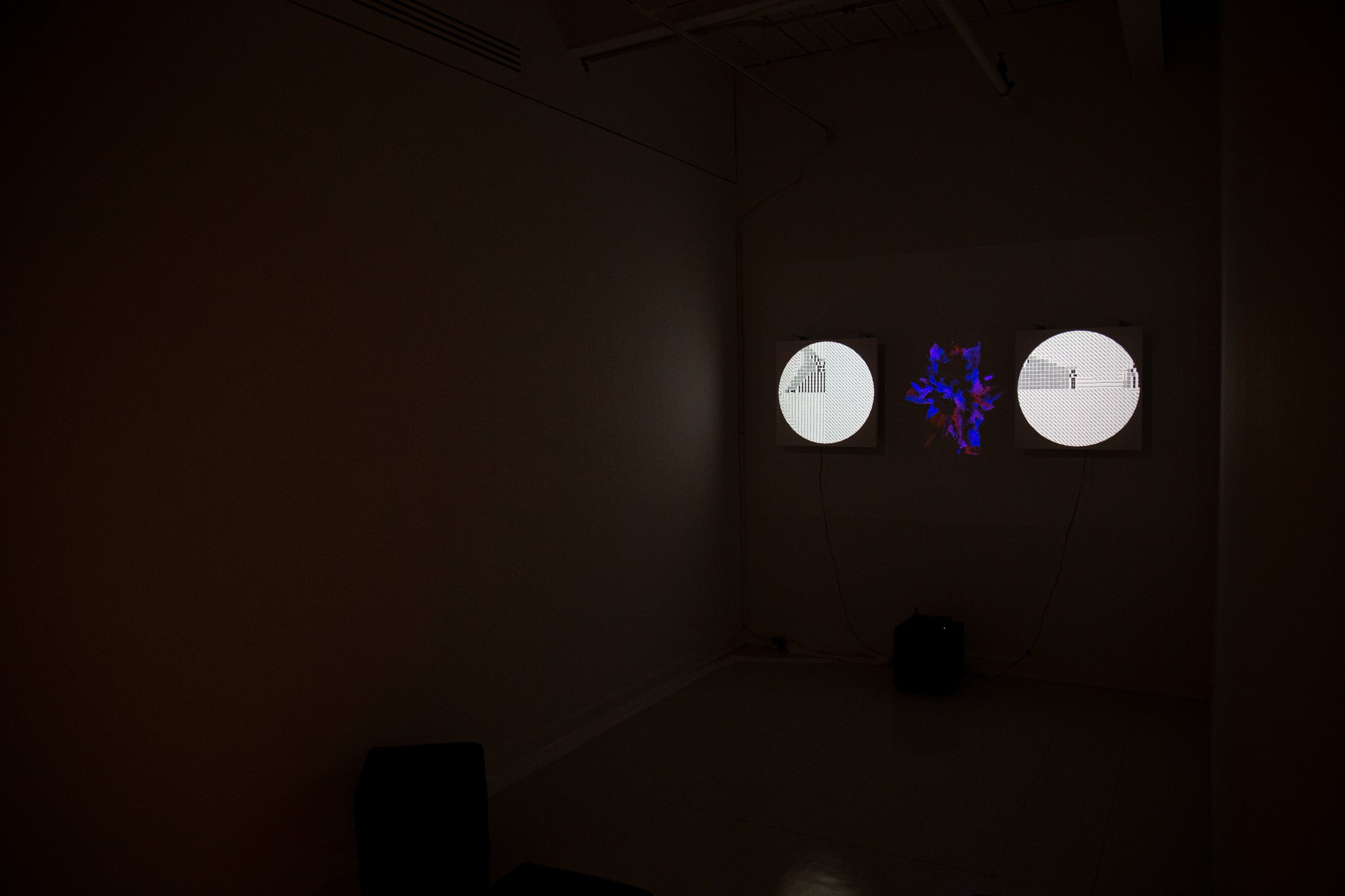 The Dog Who Swallow Millions Exhibition Photo 8