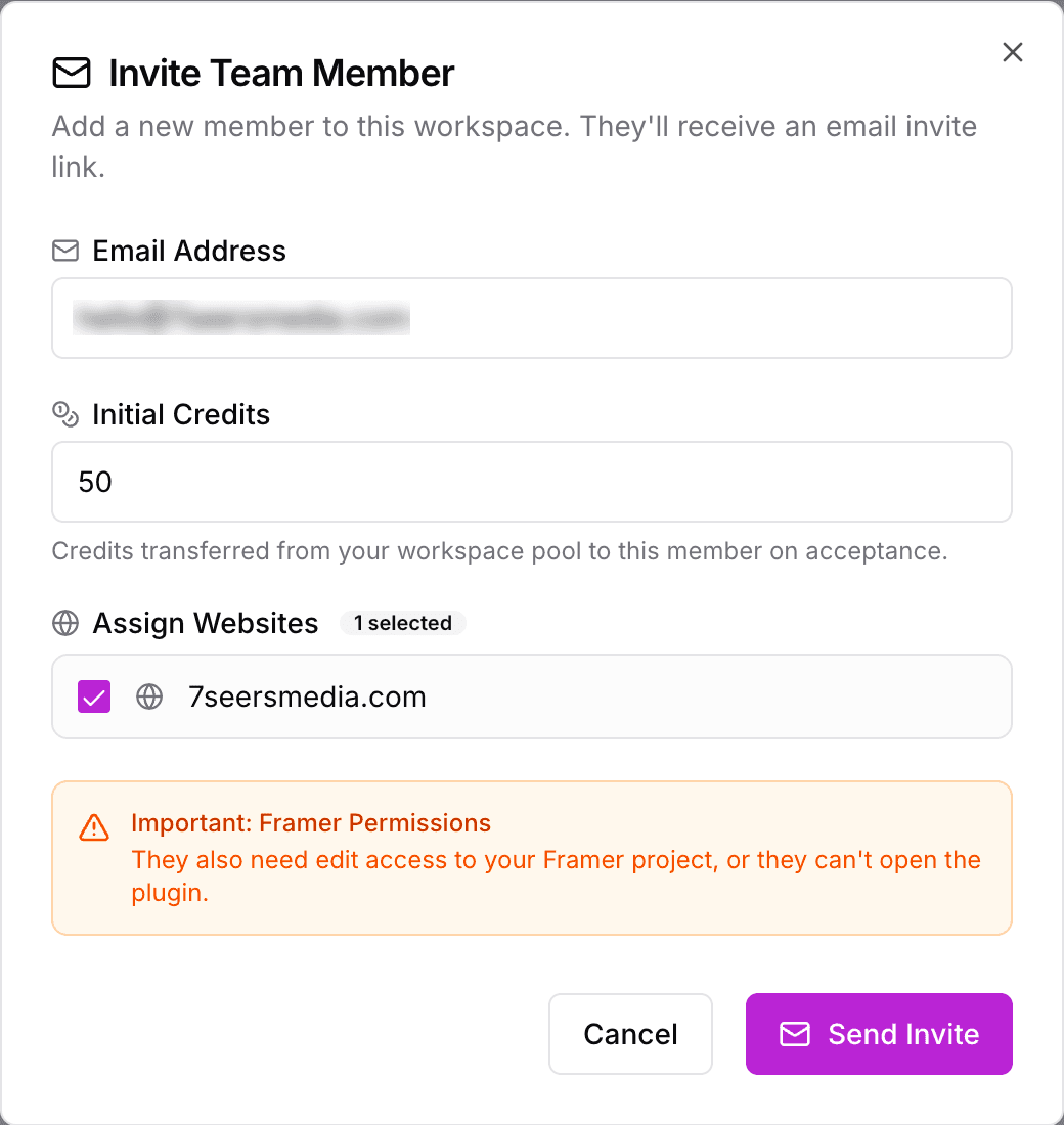 Invite Team Member window with email, initial credits and an assigned website