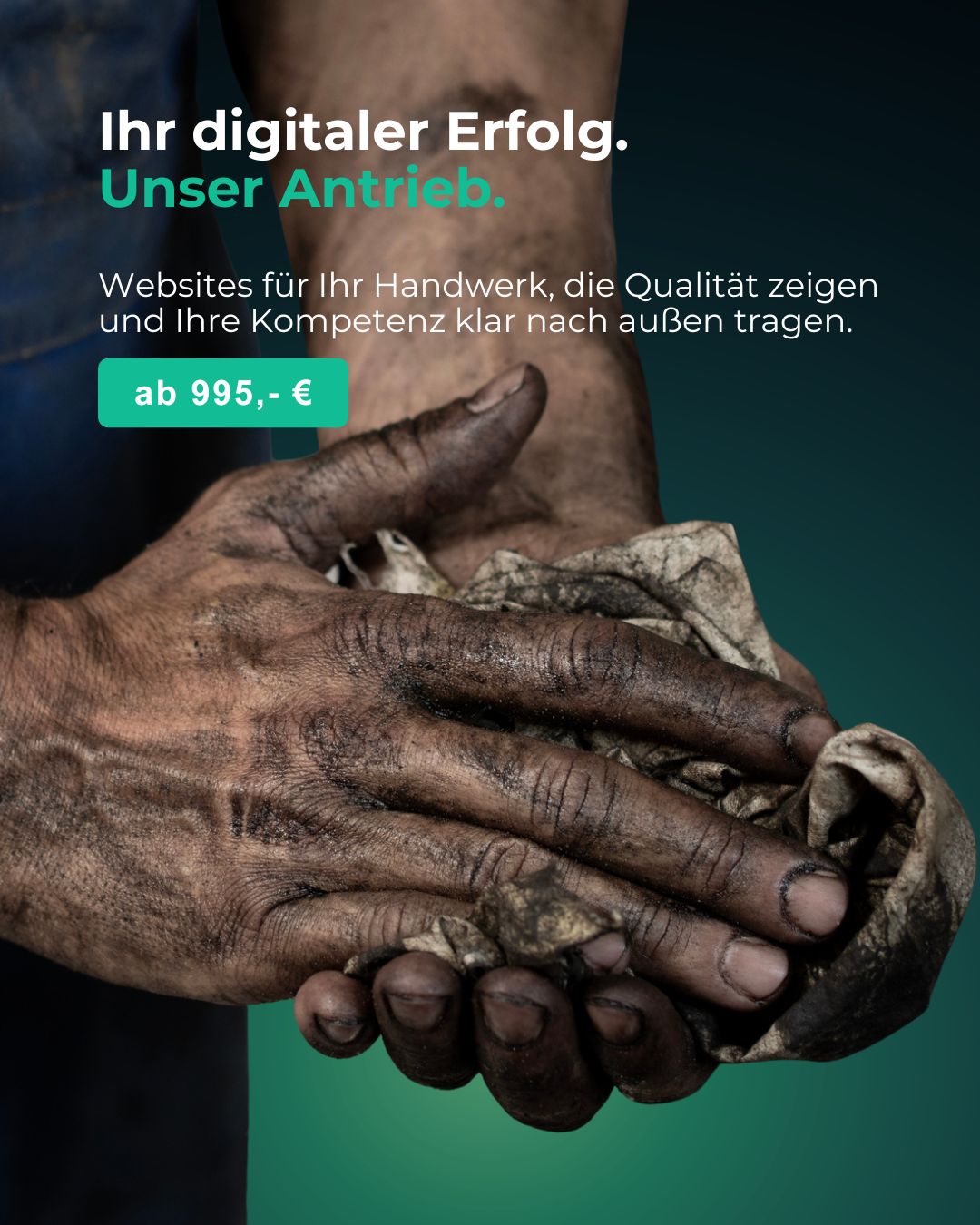 planters with plant near area rug inside room