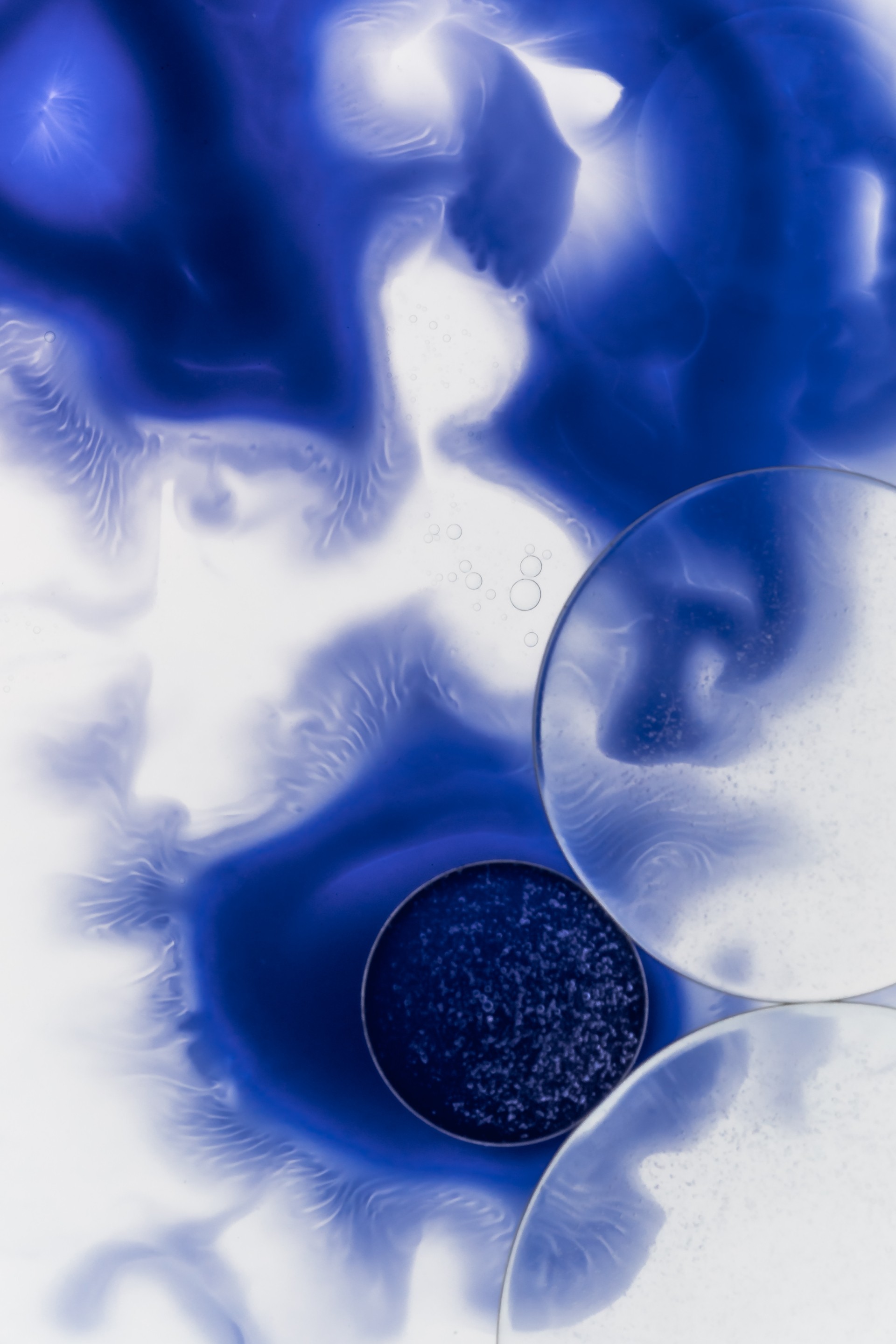 Organic Ink Simulation