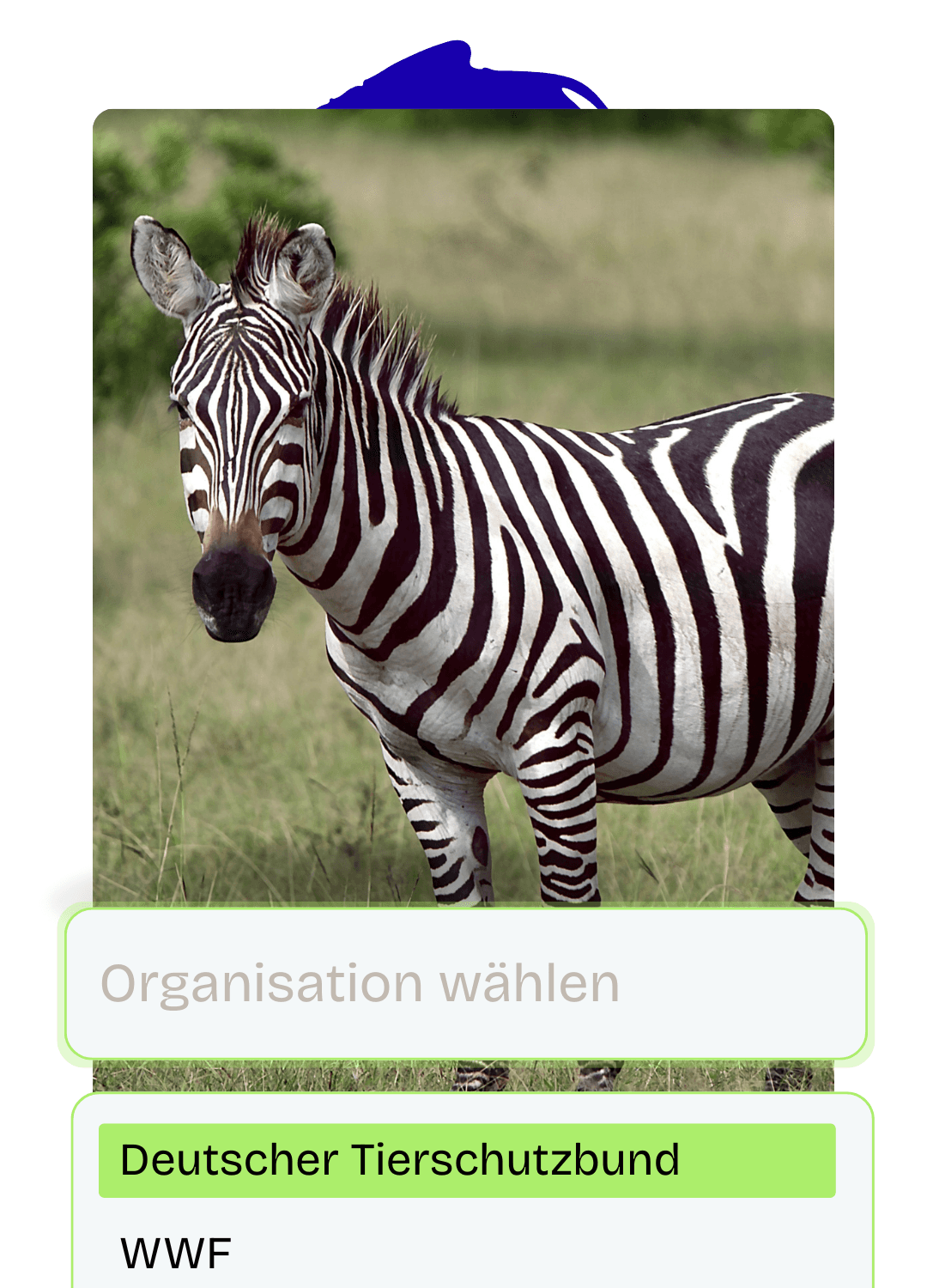 Fuer Tierschutz spenden