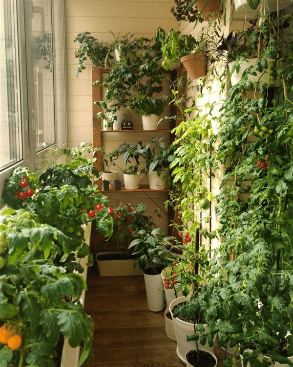 Seasonal planting