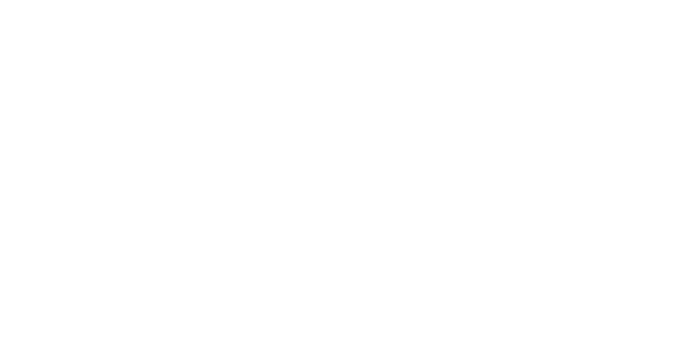 Partner logo 11