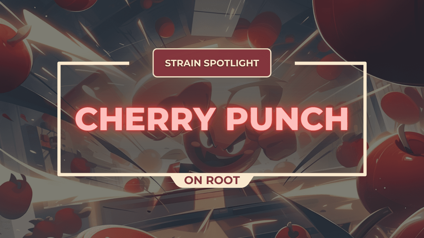 Strain Spotlight - Cherry Punch