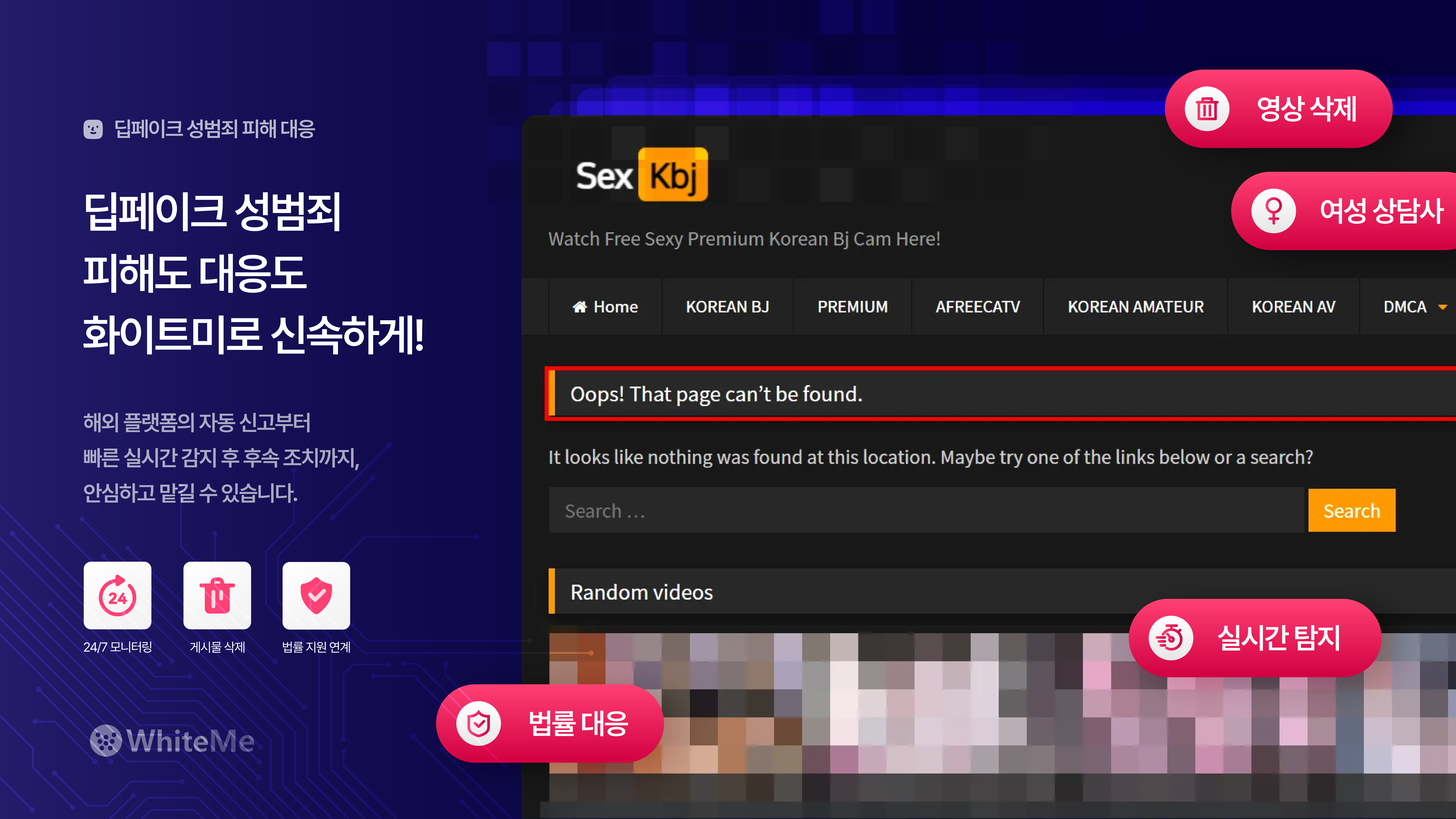 딥페이크 피해 대응 화이트미