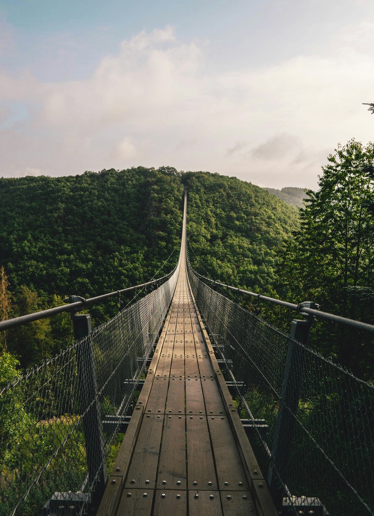empty hanging bridge through forest
