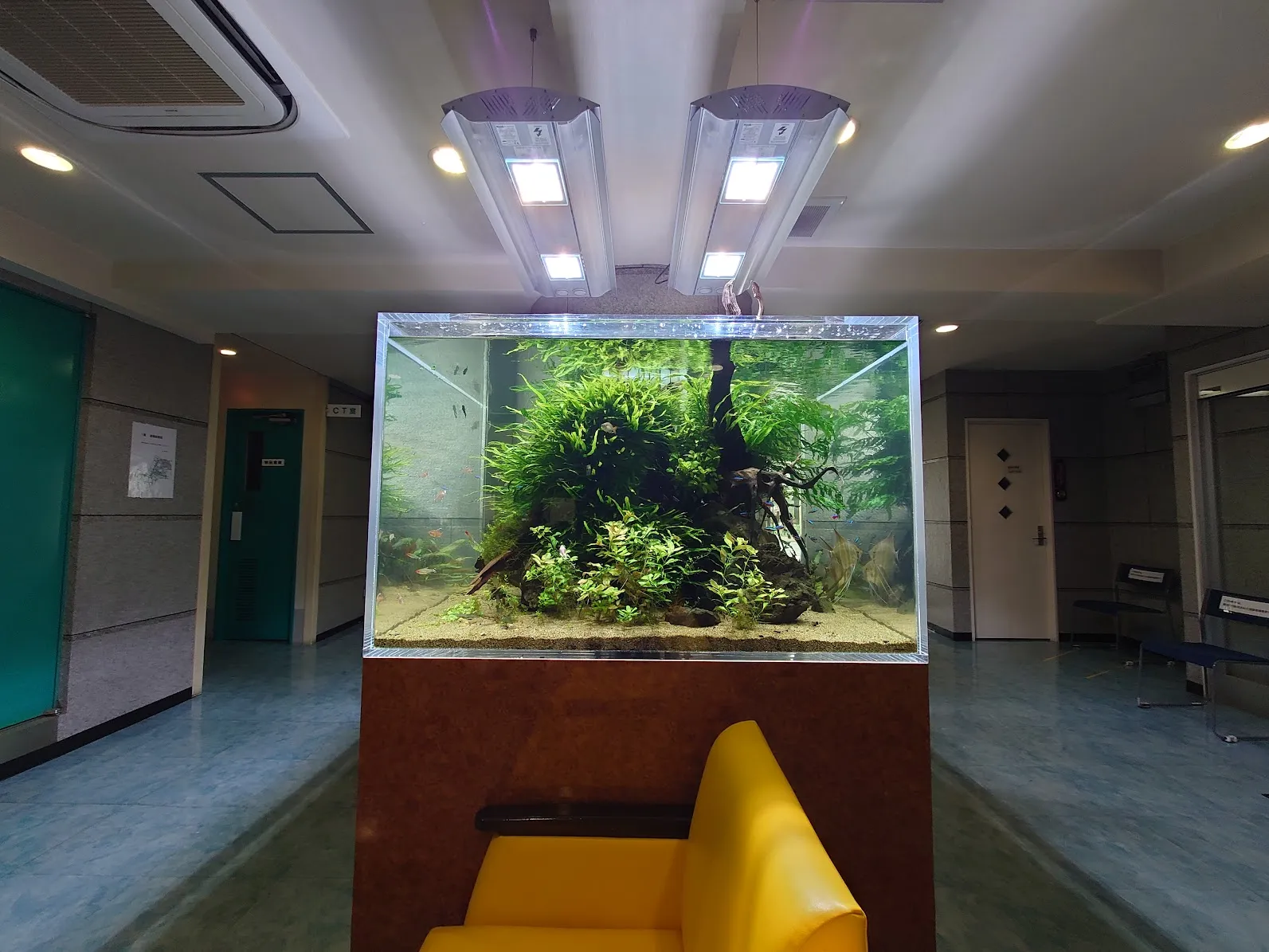 施設内に設置された大型水槽による迫力のある淡水レイアウト