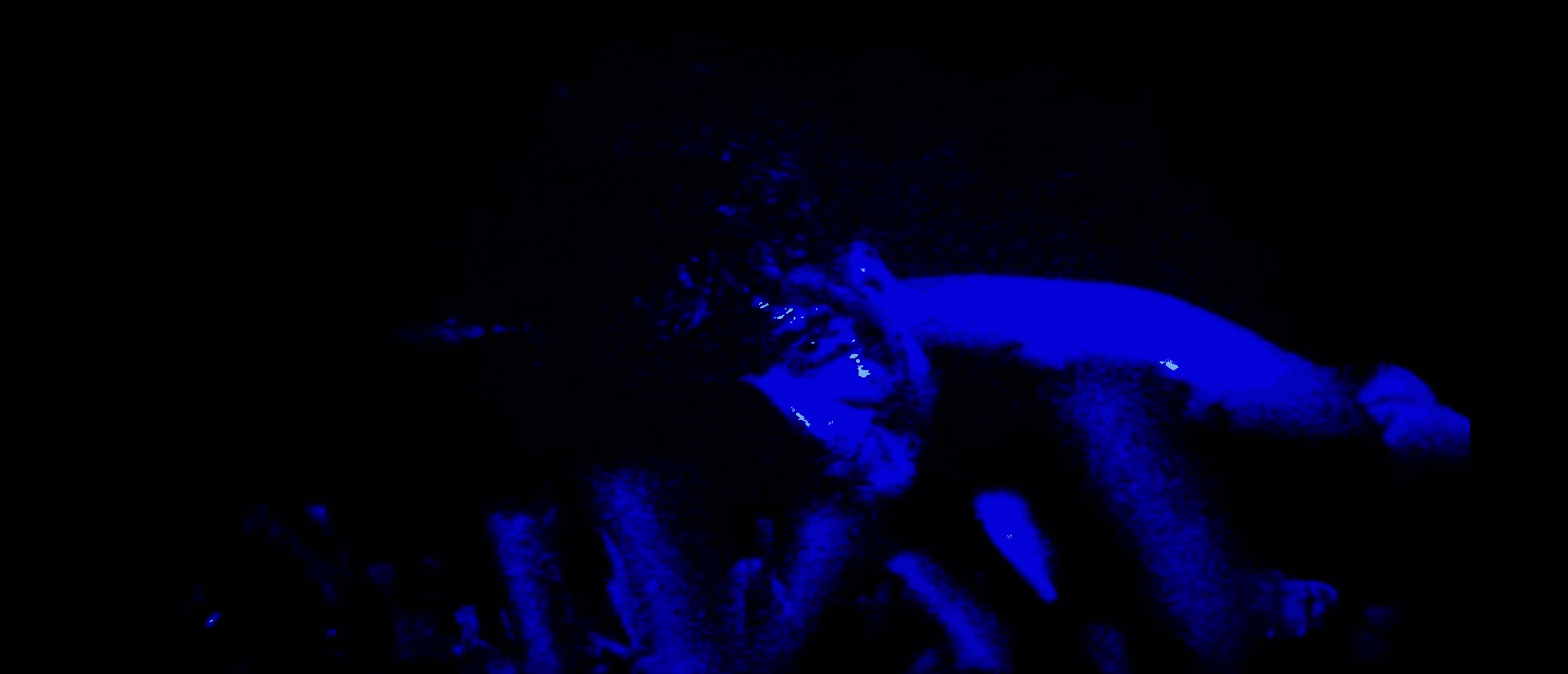 View of the French countryside through a stone villa’s open living room, with sofas and trees framing the scene