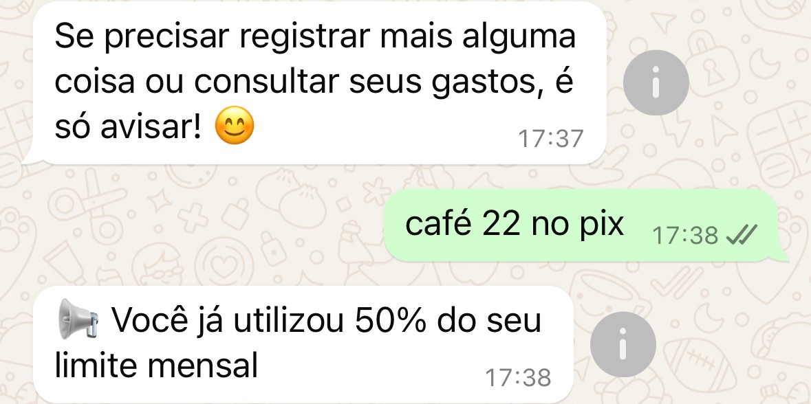 Limite de gastos Porquim IA