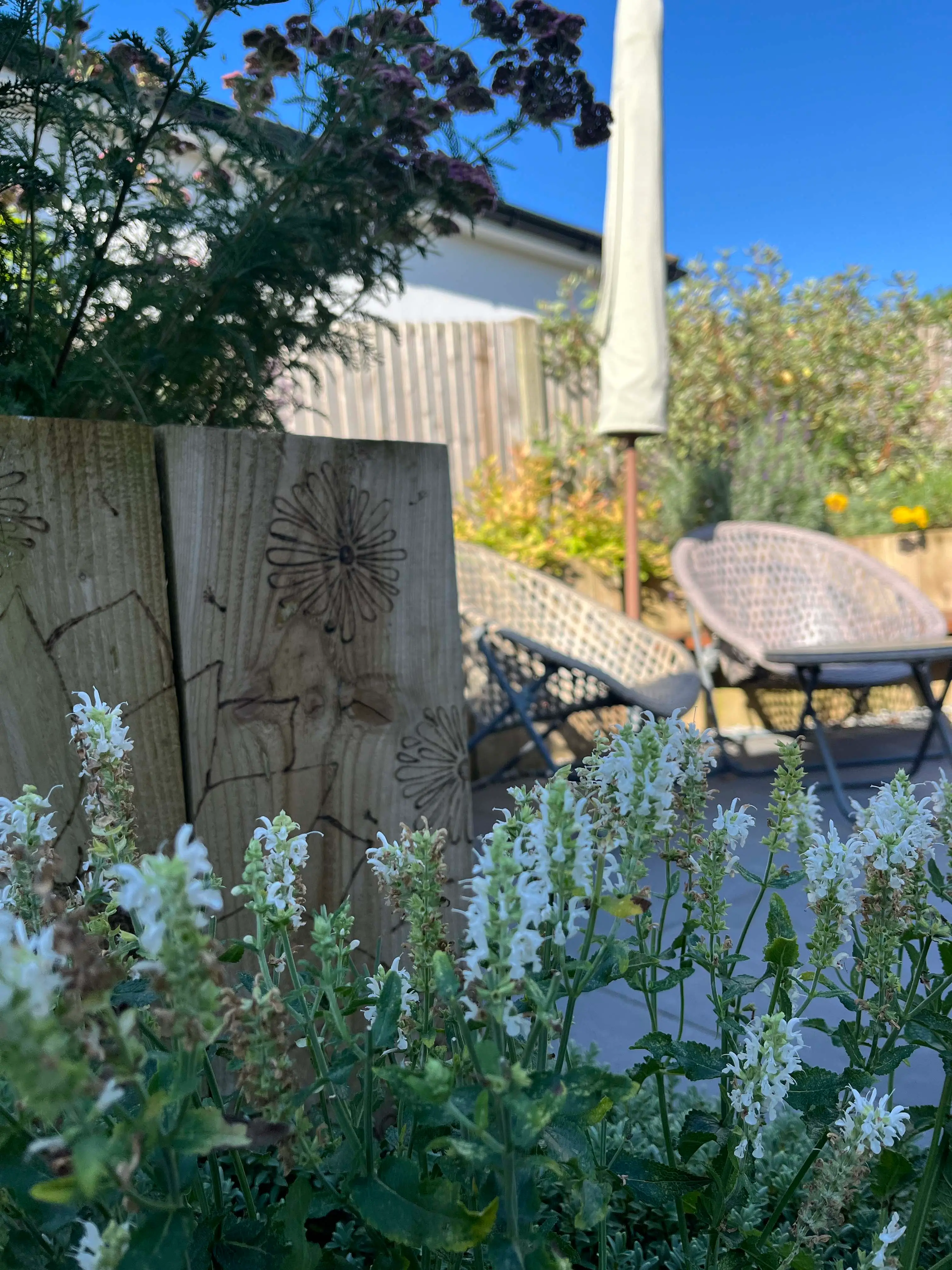 A sunny garden scene featuring flowers in the foreground and a wooden fence in the background.