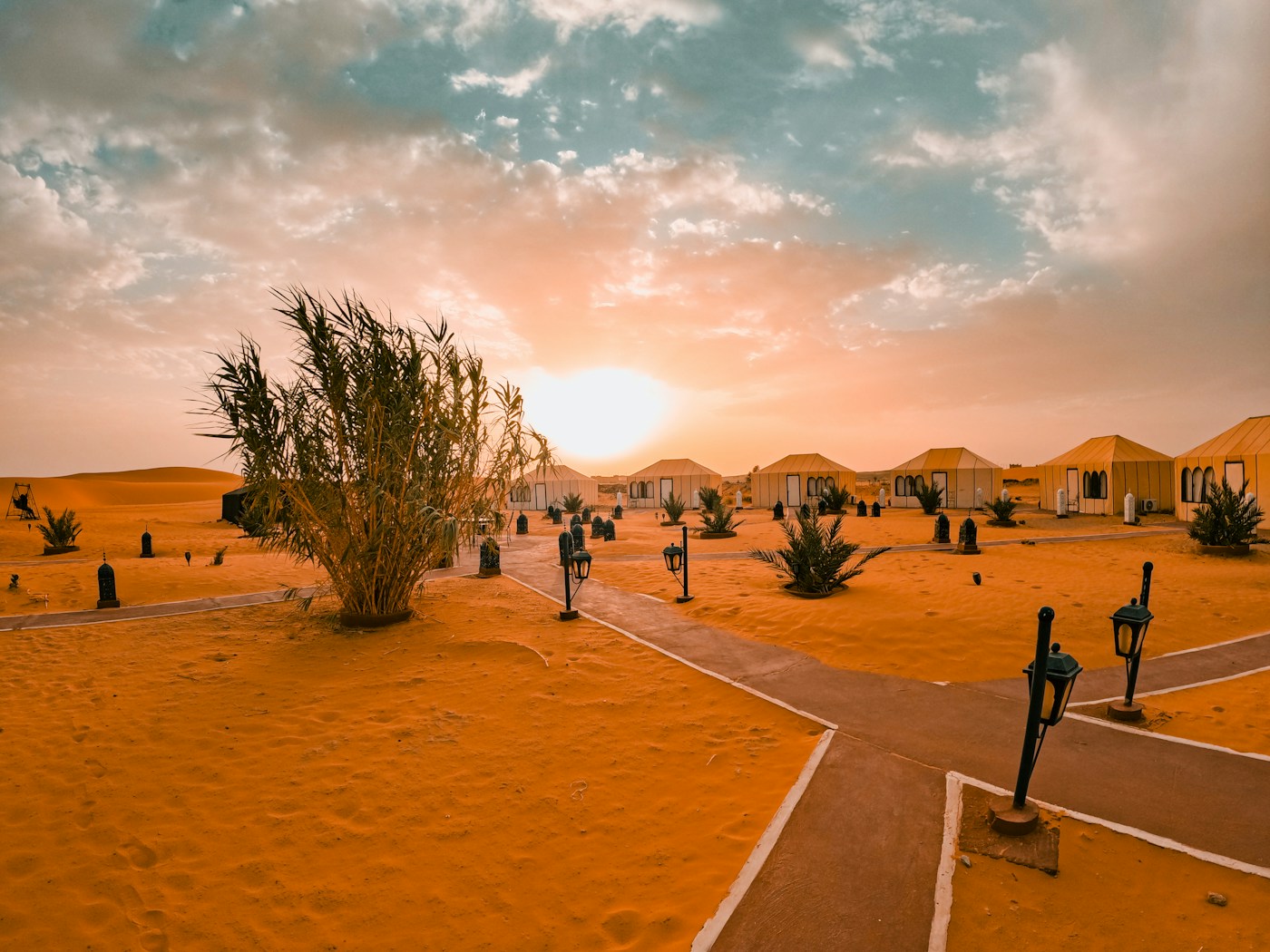 A convoy of 4x4 vehicles parked at a Namibian campsite in the evening