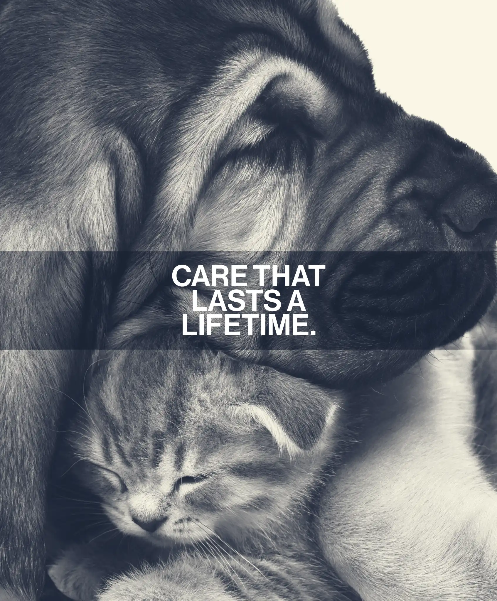 Acadia Drive Animal Clinic