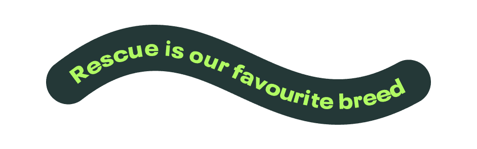 A brand elements that says "Rescue is our favourite breed".