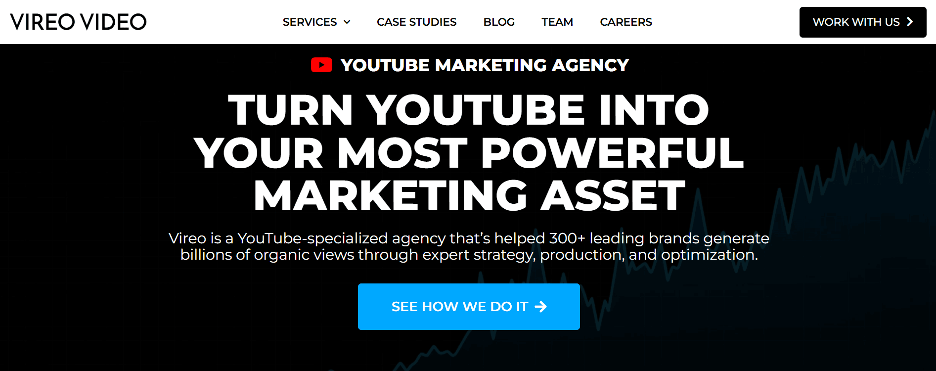 vireo video - YouTube SEO Agency