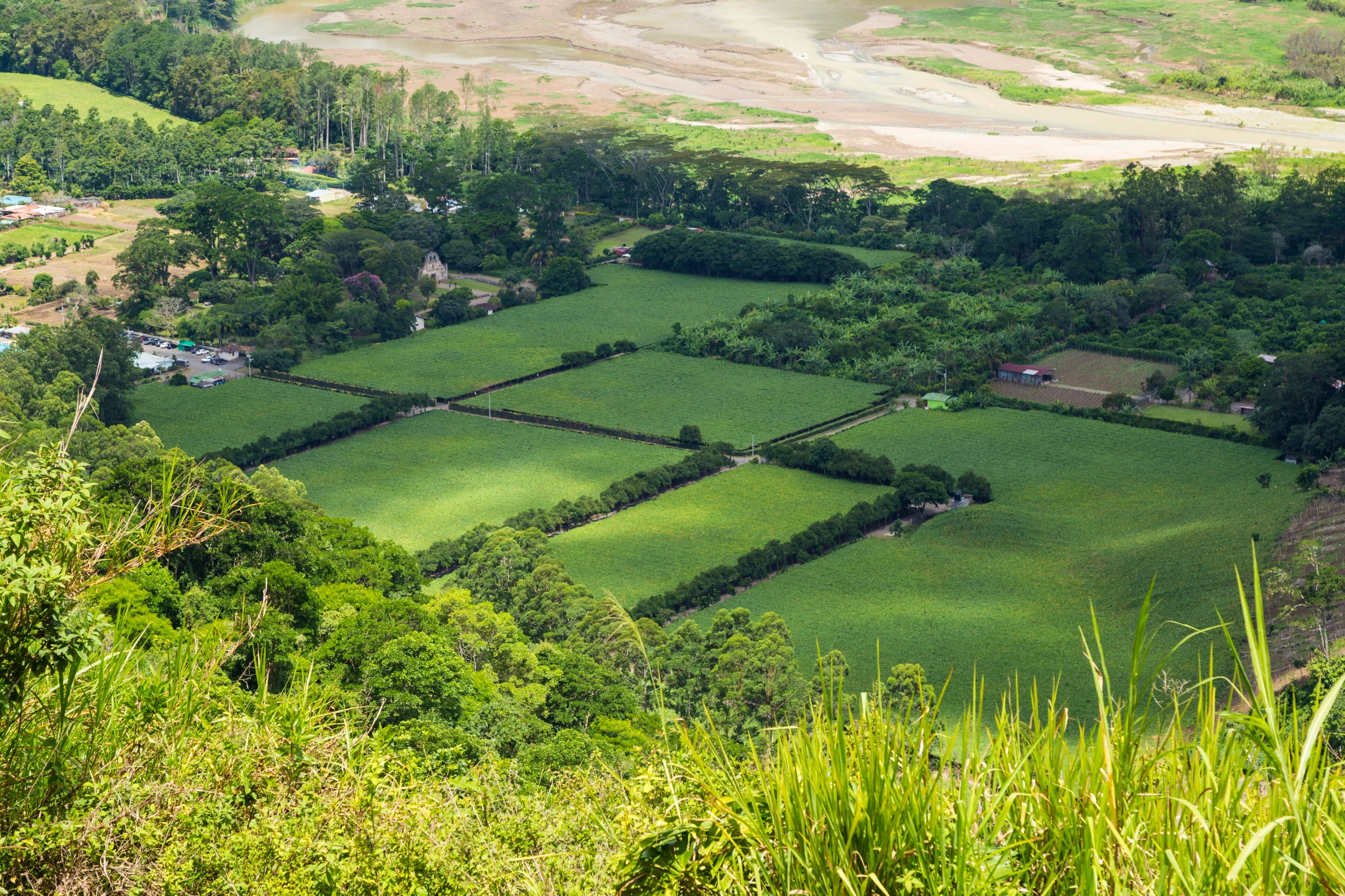 Land