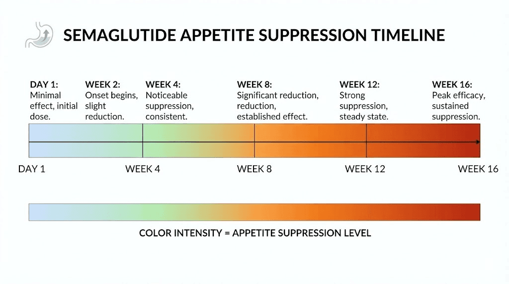 Semaglutide appetite suppression timeline from first injection to maintenance dose