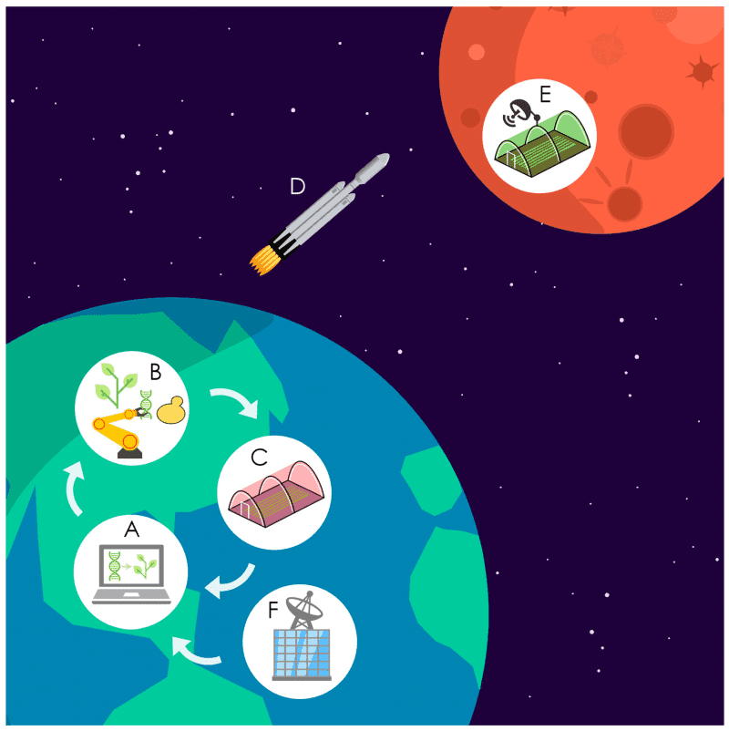 Synthetic Biology