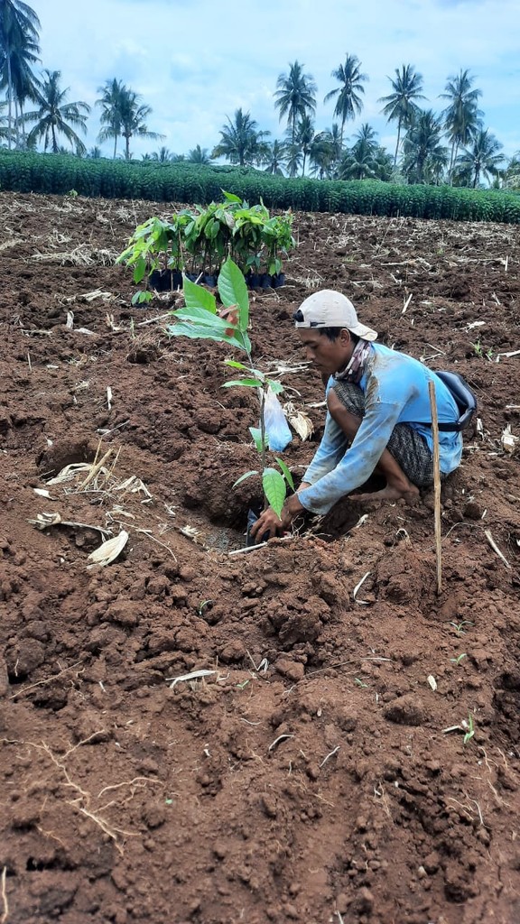 A person kneels in a field, planting a small green seedling in the soil under a cloudy sky.