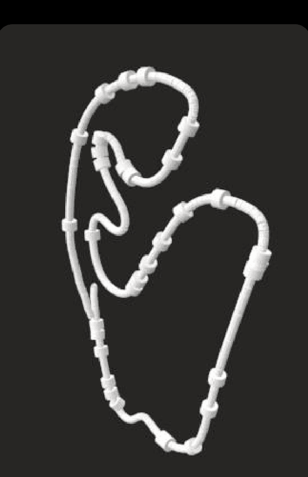Ringed model — discarded 3D export from code refinement