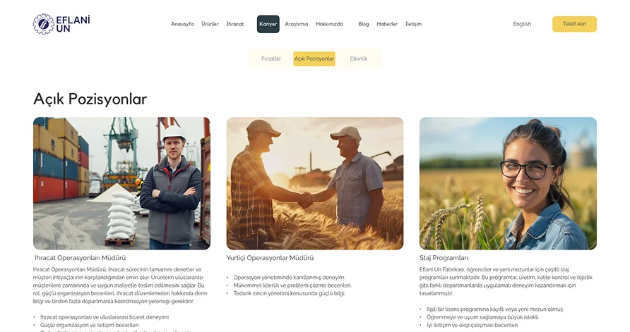 website mockup career
