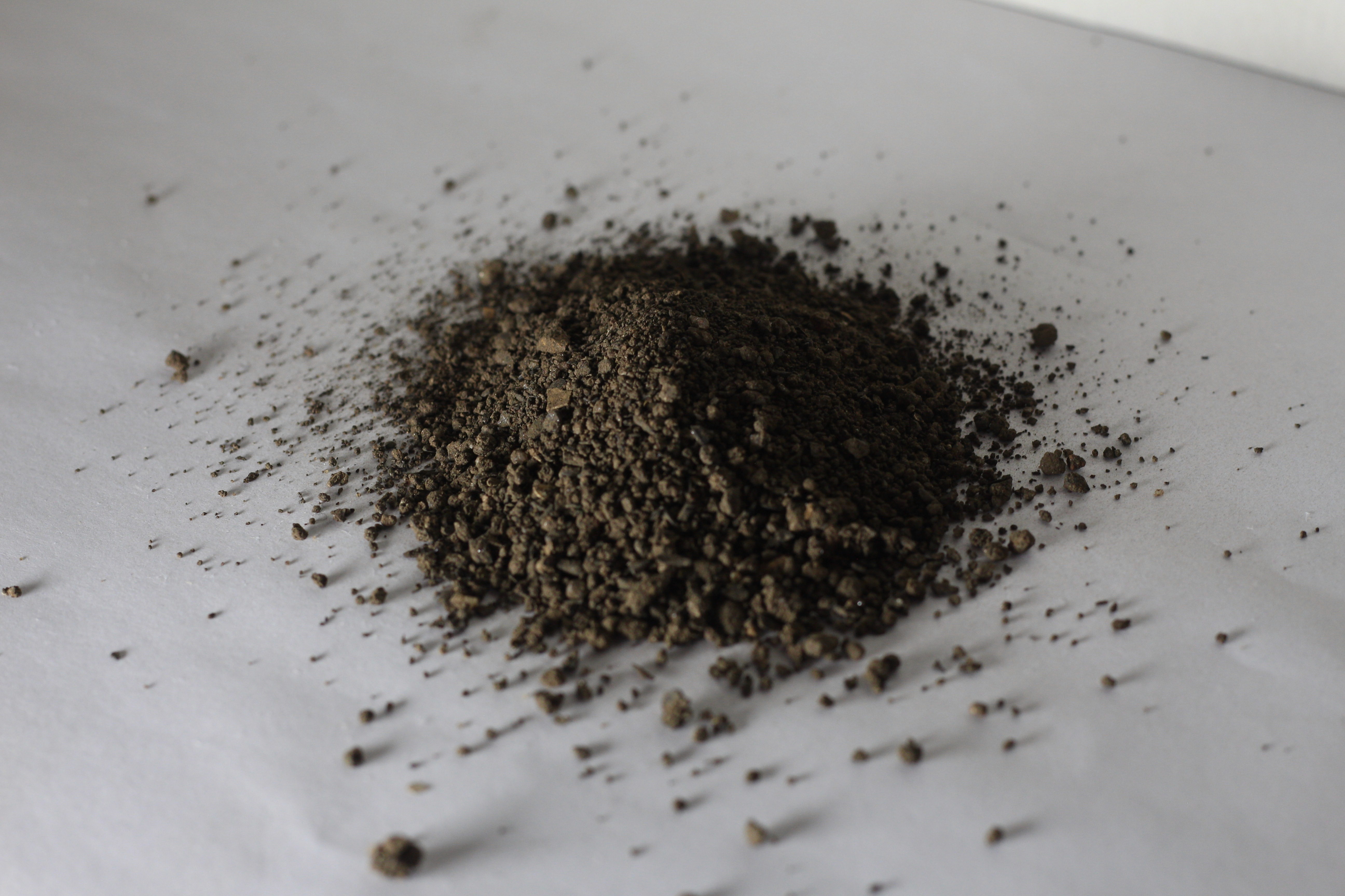 a pile of dirt sitting in the middle of a forest