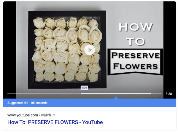 Video feature snippet
