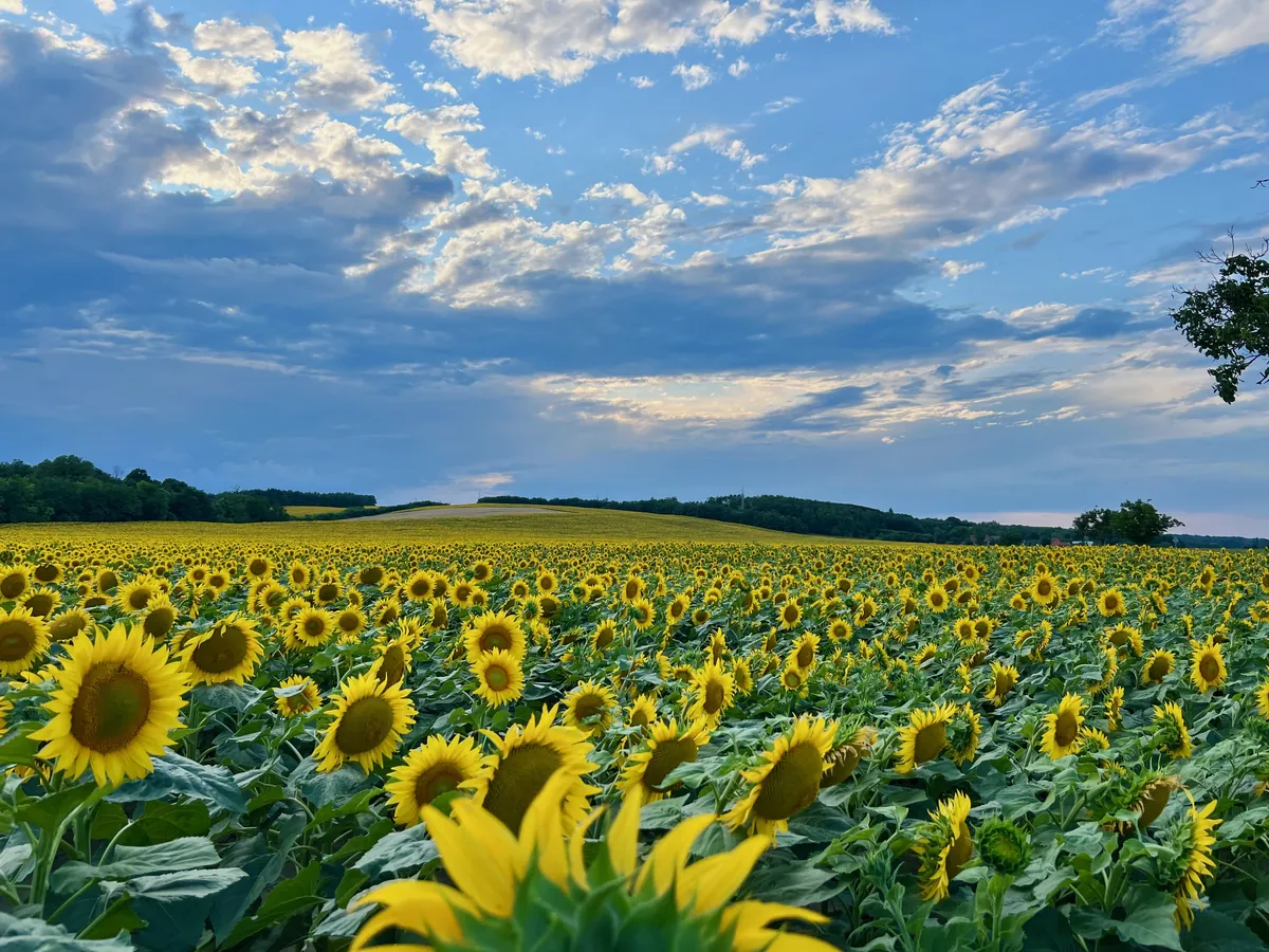 Iratkozz fel hírlevelünkre