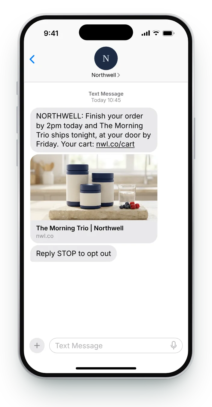 Order before the delivery cut-off abandoned cart SMS on an iPhone