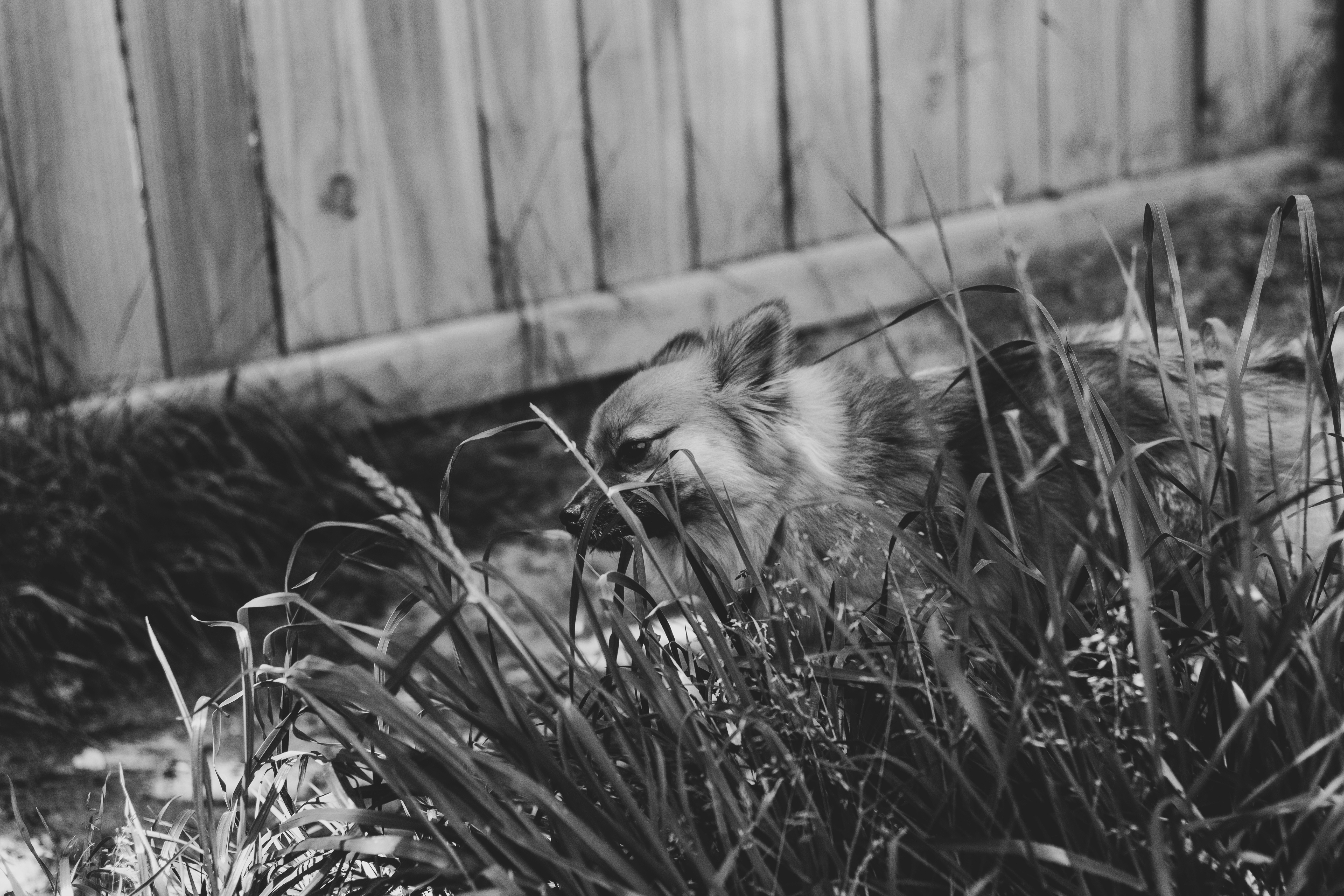 low angle photography of building