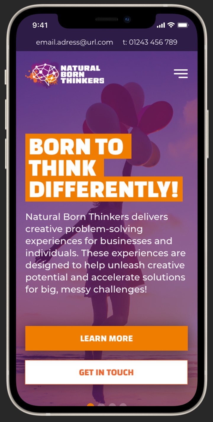 Natural Born Thinkers website design