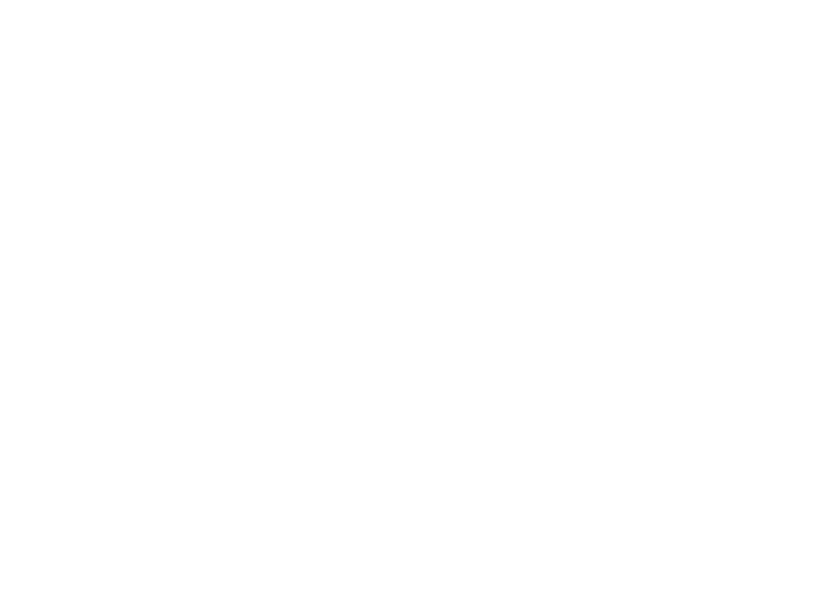 Scriani Logo Light