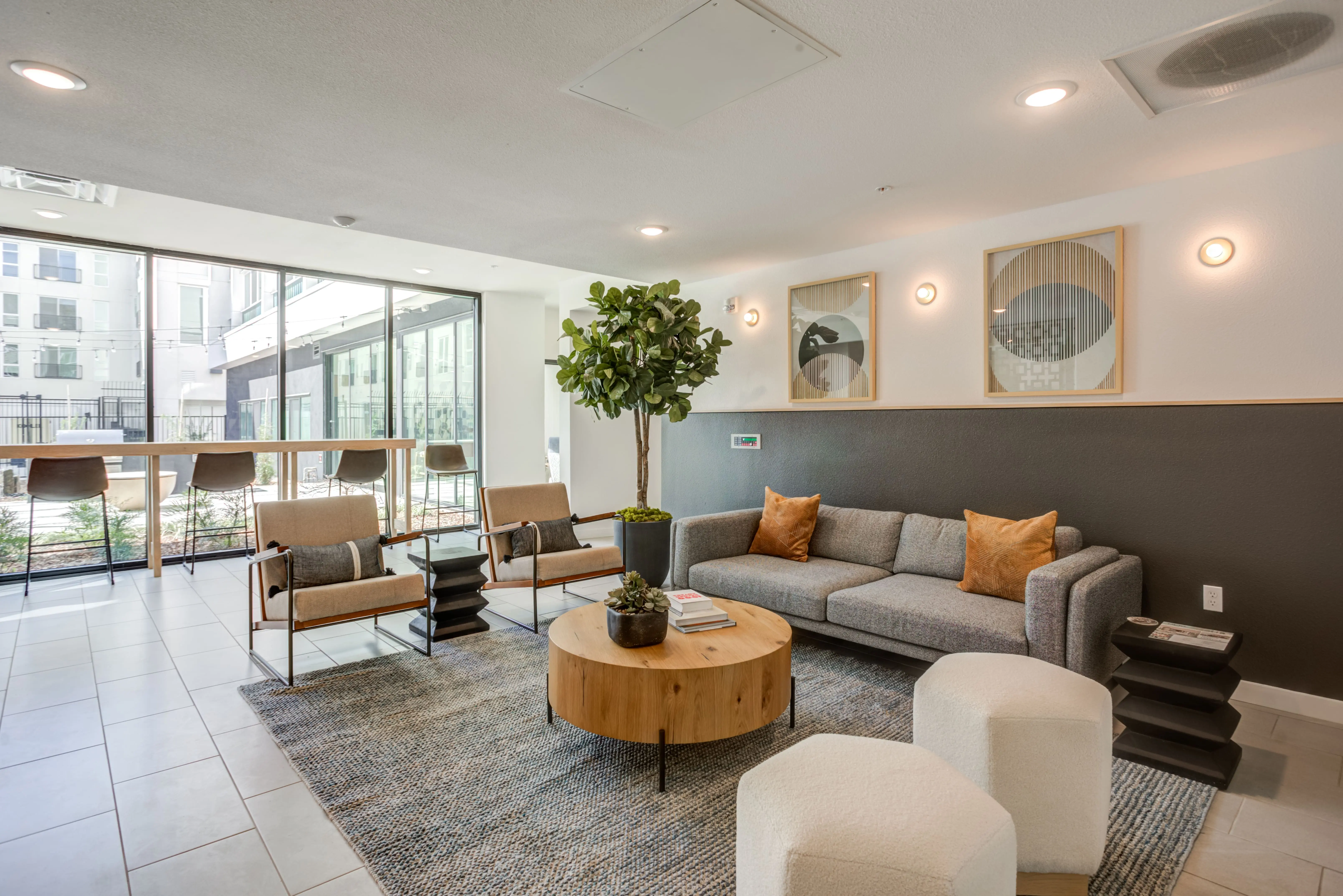 A sun-drenched waiting area in Midtown Sacramento features a gray sofa with orange cushions, two beige chairs, and two white round stools. A round wooden coffee table with a potted plant is at the center. Large windows allow natural light, and there are bar stools along a counter near the windows.