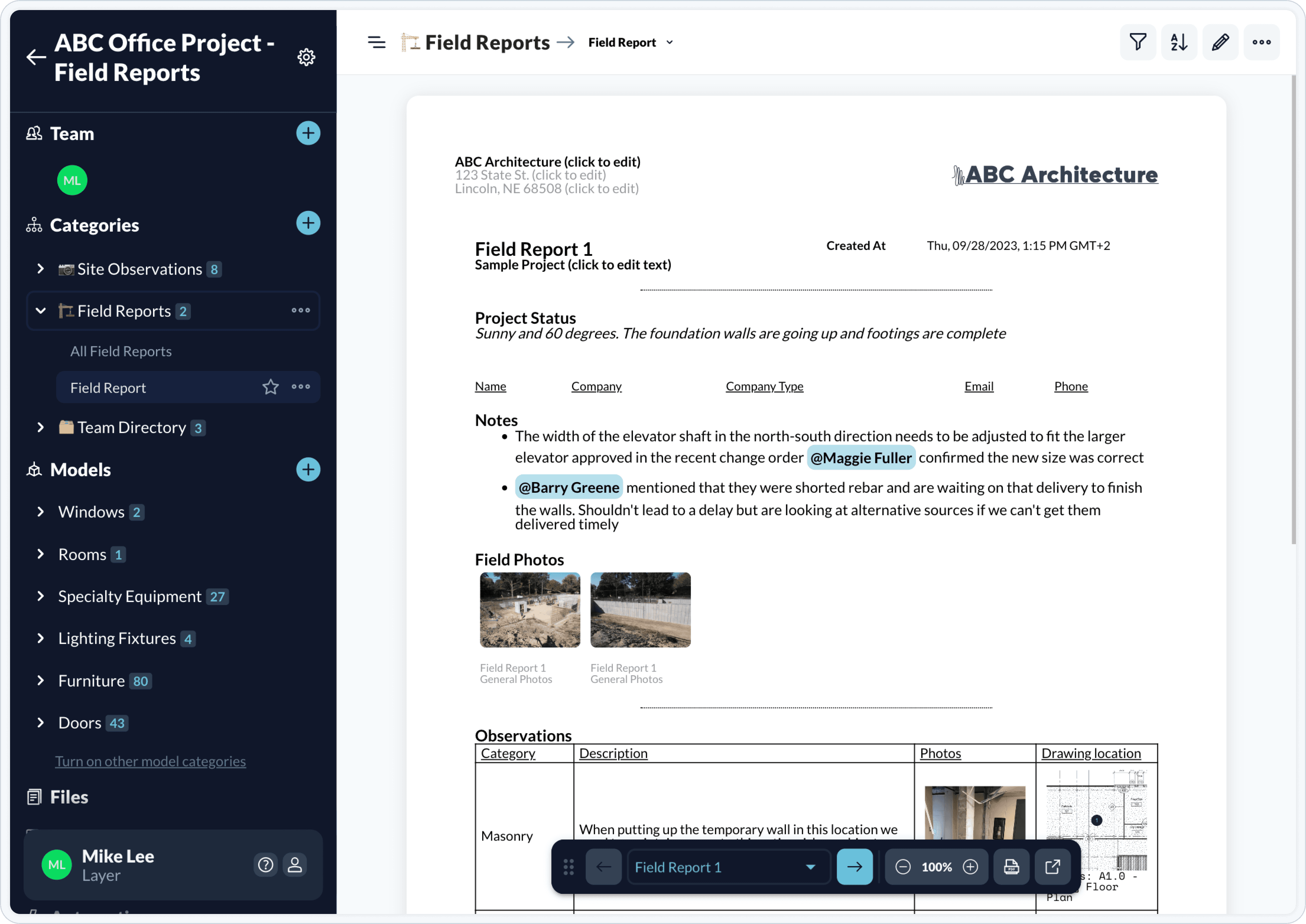 layer field report tabular view