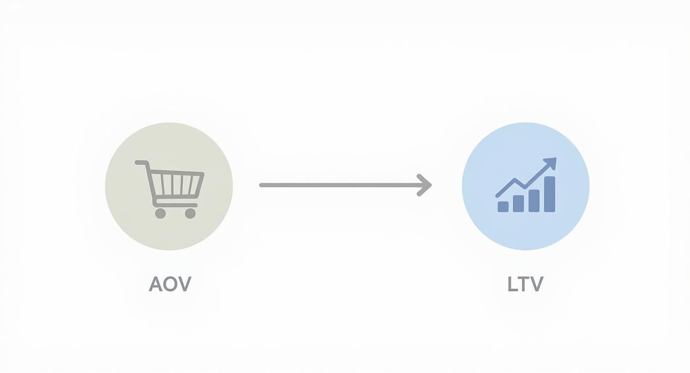 An arrow points from a shopping cart icon labeled 'AOV' to an upward trending chart icon labeled 'LTV'.