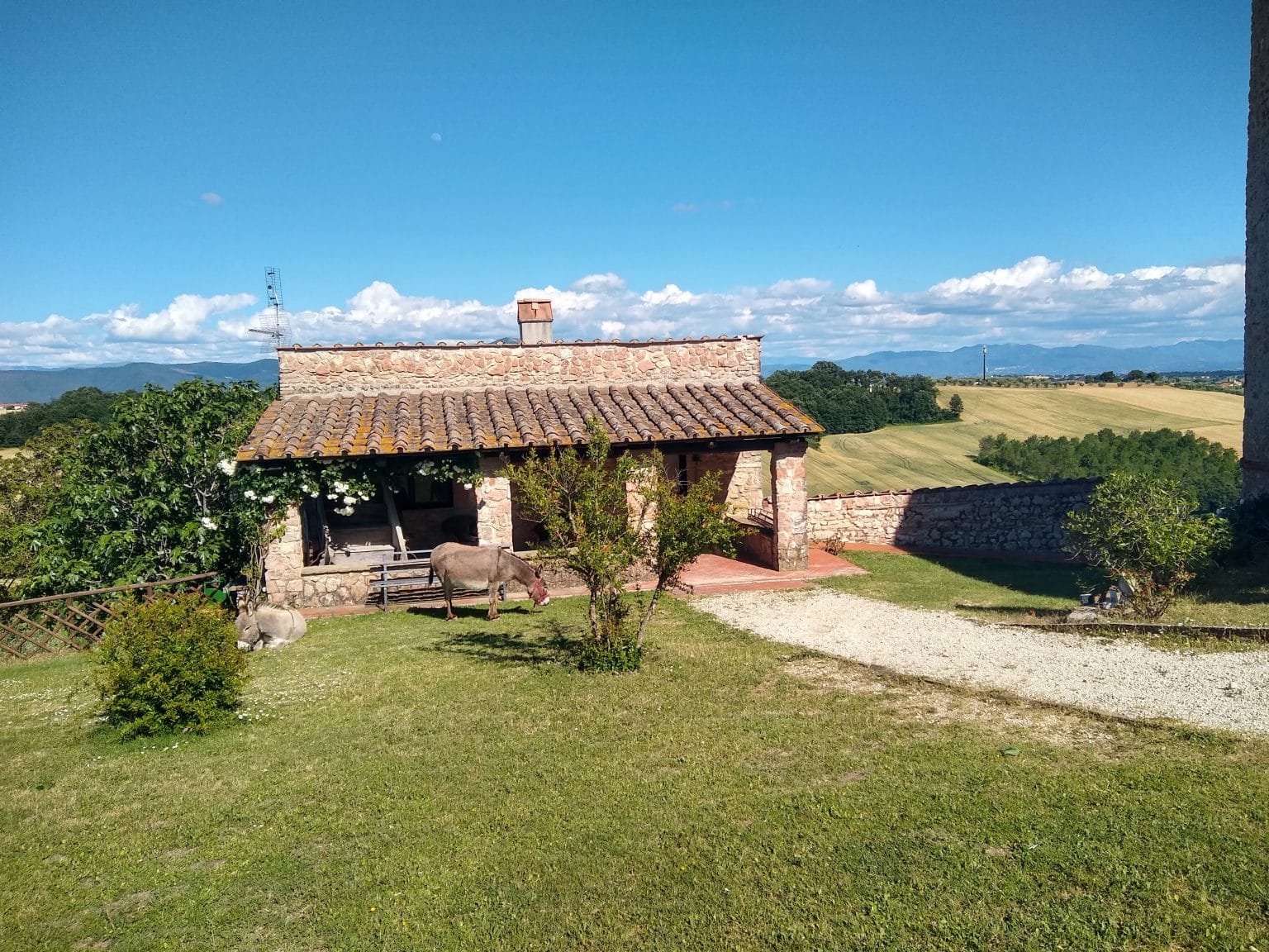 Agriturismo con animali da cortile fuori che fanno giocare bambini e grandi nel viterbese