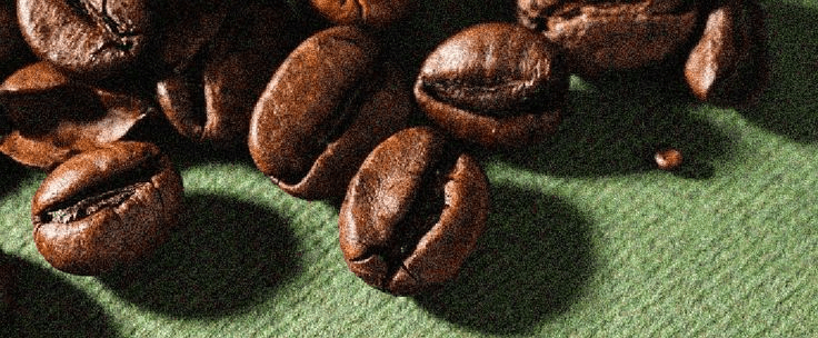 A close up shot of a  coffee bean.