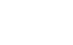 DS Logo