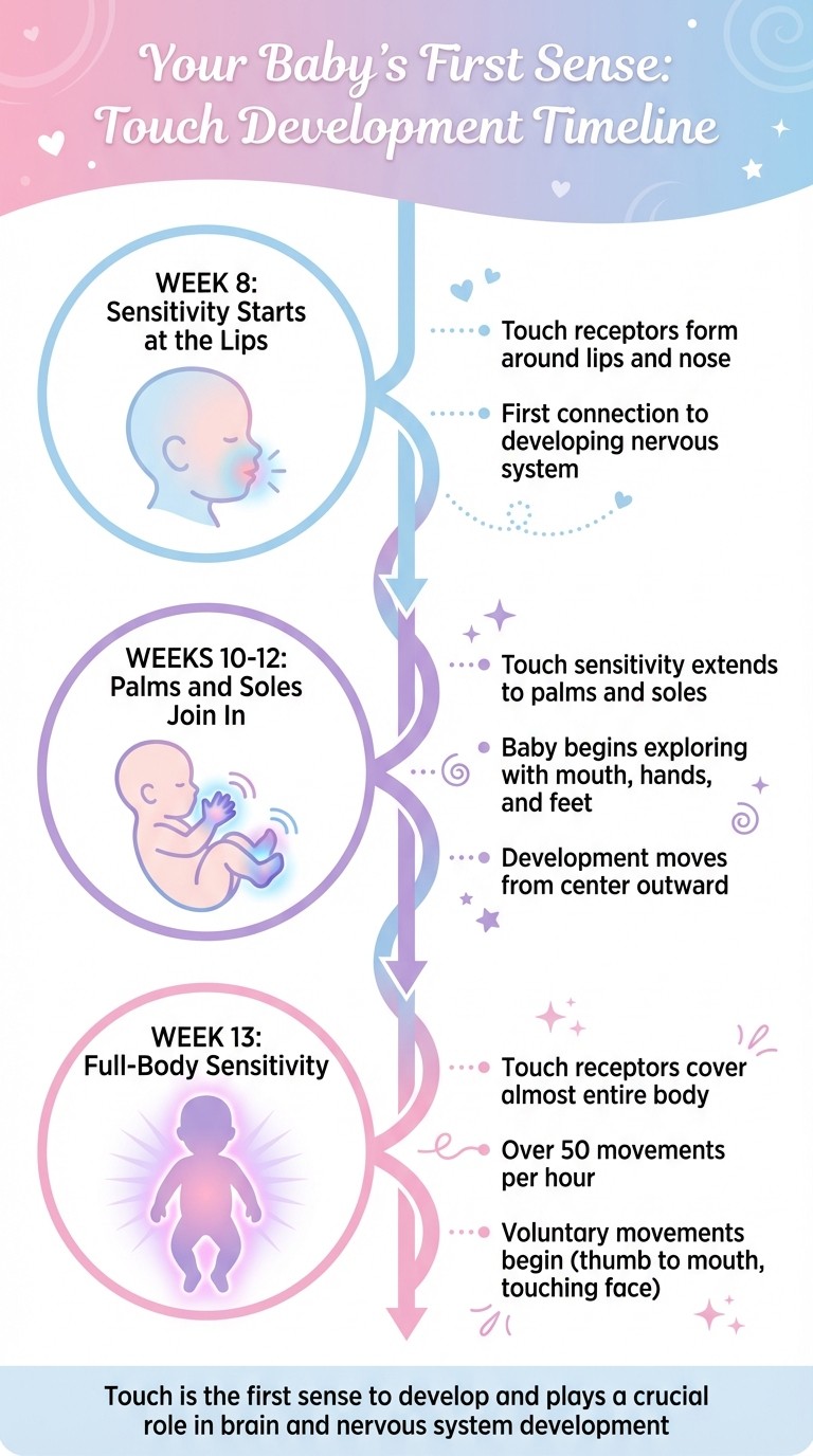 Baby's Touch Development Timeline: Weeks 8-13 of Pregnancy