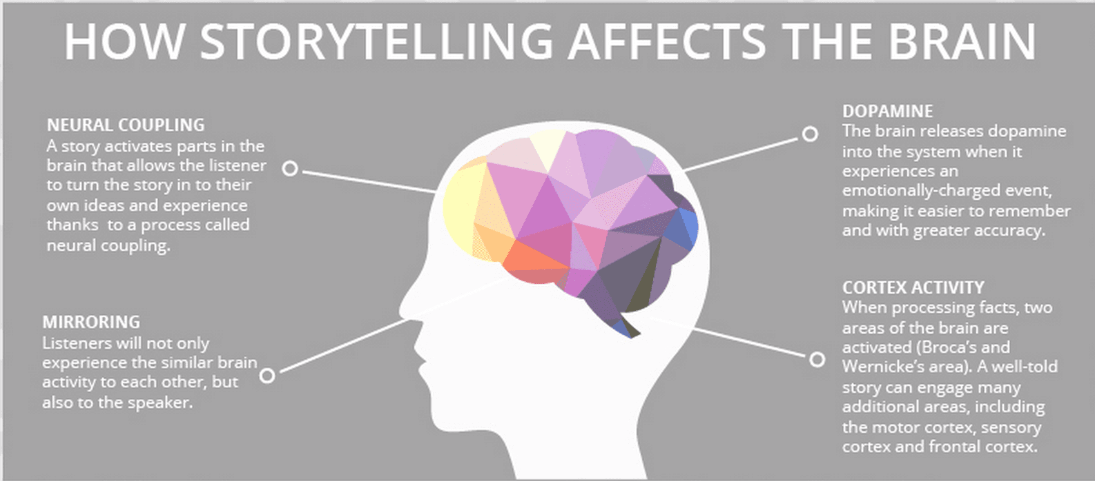 Visual with how storytelling affects the brain.